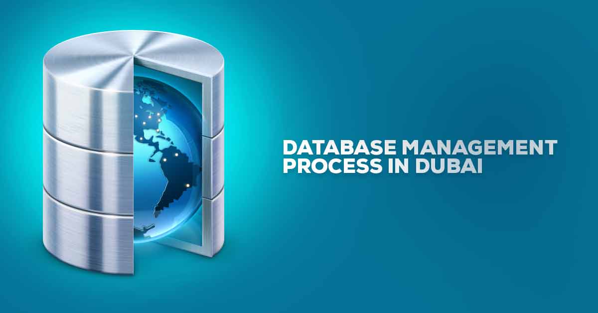 How Do Database Management Companies In Dubai Process And Maintain Various Data?