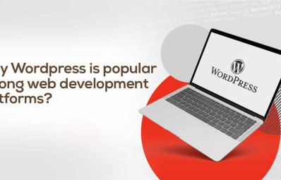 Why is Wordpress Popular Among Web Development Platforms?