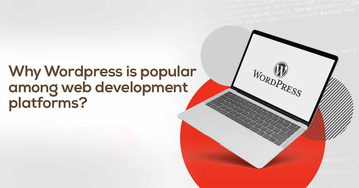 Why is Wordpress Popular Among Web Development Platforms?